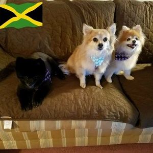 Meet your Posher, Lori